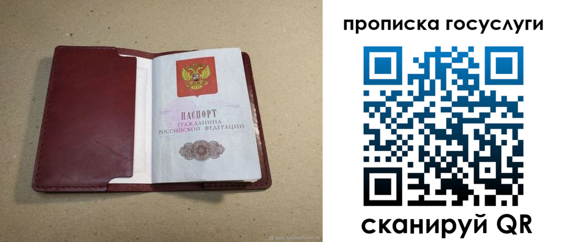 прописка поиск в Черногорске